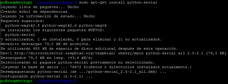 raspberrypi_python-serial